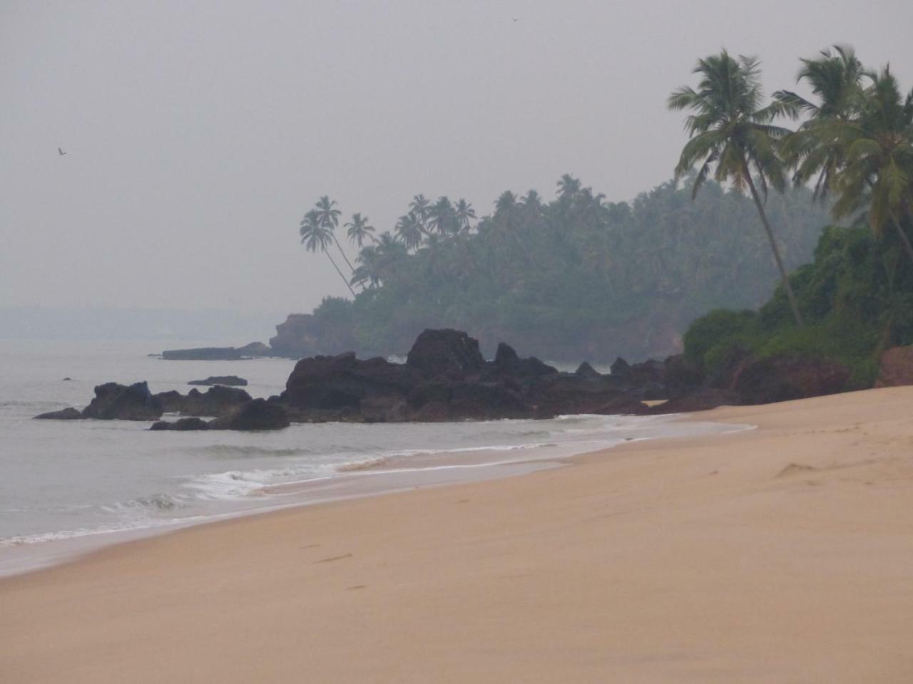 Ocean Green Kerala Каннур Экстерьер фото